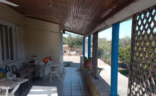 417471555_1099578117841638_1155955735428499318_n