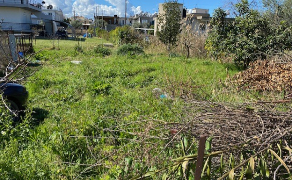 thumbnail_CC6BF598-0E99-4DD4-A114-DEEBA09362A1