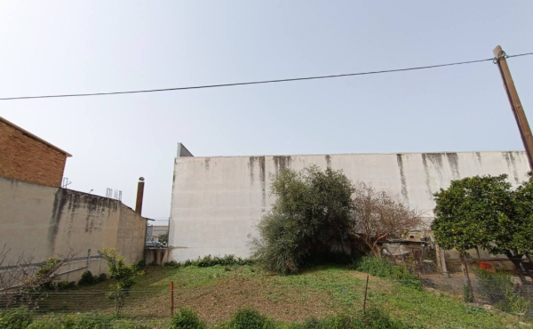 IMG-a6dc1abe99f445ef2eeb4b17c05c31fd-V