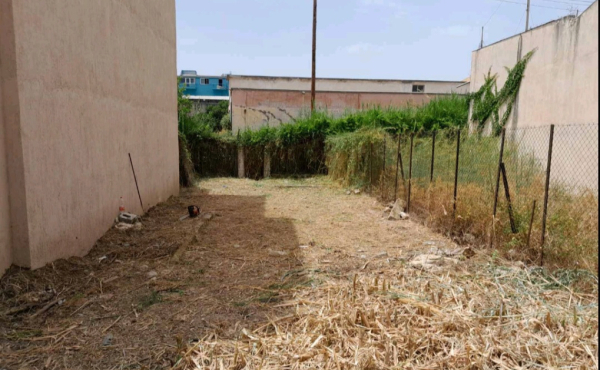 Screenshot_20250124_220315_Viber